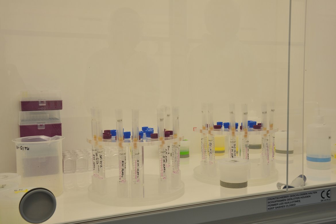 Fig 4. Columns (Photo: H. Wittmann-Oelze)