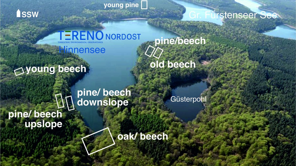 Fig 5. TERENO-Northeast - Hinnensee
